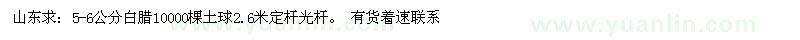 求購5-6公分白臘10000棵土球2.6米定桿光桿。 有貨著速聯(lián)系