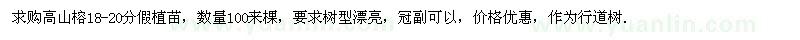求購高山榕