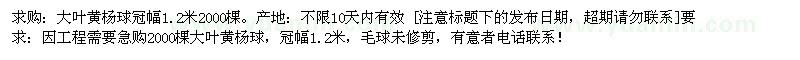 求購大葉黃楊球冠幅1.2米 2000棵