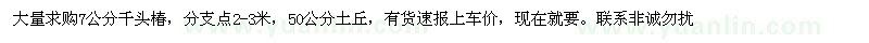 求購7公分千頭椿，分支點2-3米，50公分土丘