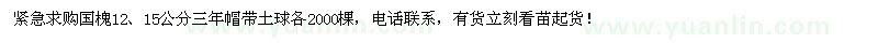 求購國槐 