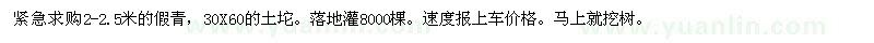求購2-2.5米的假青 