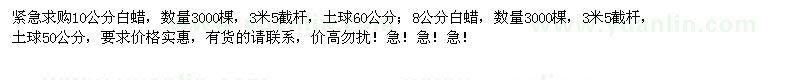 求購8、10公分白蠟各3000棵