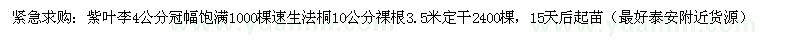 求購紫葉李  4 公分、速生法桐 10公分
