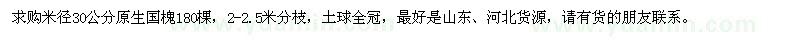 求購(gòu)米徑30公分原生國(guó)槐180棵