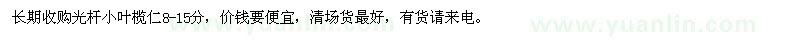 求購光桿小葉欖仁8-15分