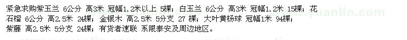 求購紫玉蘭 ；白玉蘭 ；花石榴
