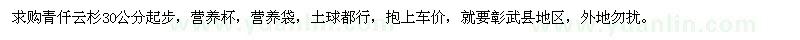 求購青仟云杉30公分起步