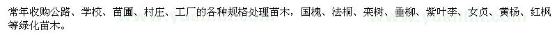 求購公路、學(xué)校、苗圃、村莊各種規(guī)格處理苗木