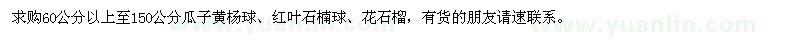 求購瓜子黃楊球,紅葉石楠球,花石榴