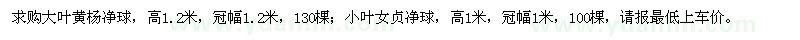 求購(gòu)大葉黃楊凈球,小葉女貞凈球