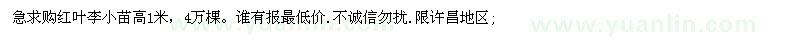 求購紅葉李小苗高1米