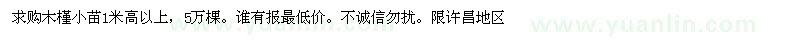 求購(gòu)木槿小苗1米高以上
