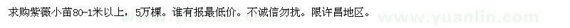 求購紫薇小苗80-1米以上