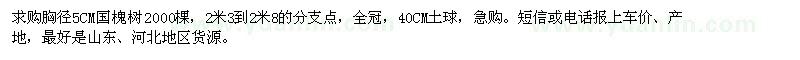 求購胸徑5公分國槐2000棵