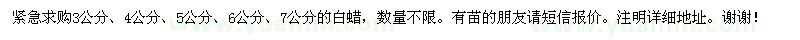 求購白蠟
