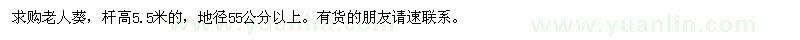 求購地徑55公分以上老人葵