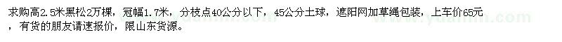 求購高2.5米黑松2萬