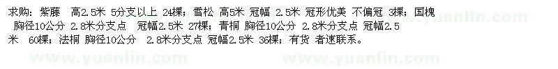 求購紫藤  高2.5米 5分支以上