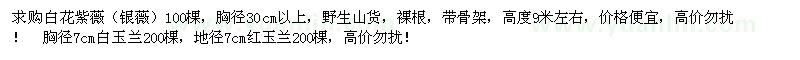 求購白花紫薇　白玉蘭
