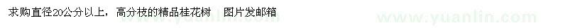 求購精品桂花樹直徑20公分以上，高分枝的