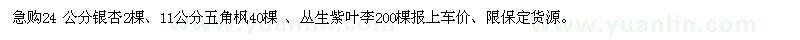求購(gòu)銀杏　五角楓　叢生紫葉李