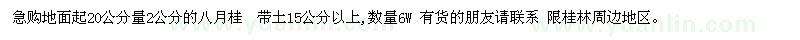 求購八月桂地面起20公分量2公分的