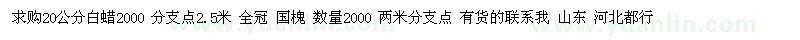 求購白蠟 國槐