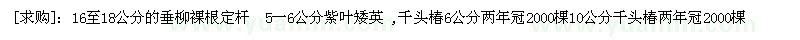 求購16至18公分的垂柳 紫葉矮英 ,千頭椿