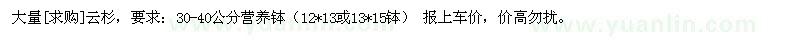 求購(gòu)大量云杉，要求：30-40公分營(yíng)養(yǎng)缽