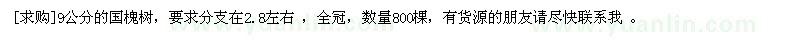 求購(gòu)9公分的國(guó)槐樹，要求分支在2.8左右