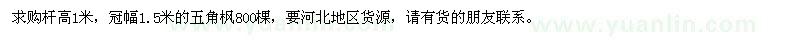 求購五角楓800棵