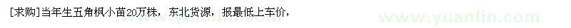 求購當年生五角楓小苗20萬株
