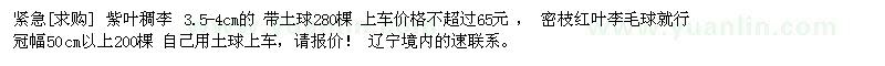 求購紫葉稠李 3.5-4cm的 、 密枝紅葉李毛球
