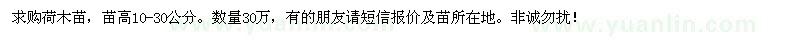 求購荷木苗