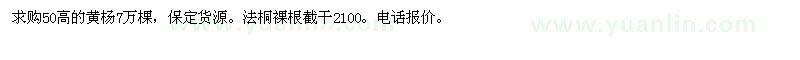 求購(gòu)50高的黃楊，法桐 