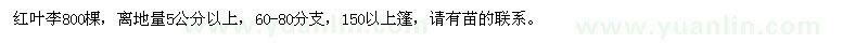 求購(gòu)紅葉李