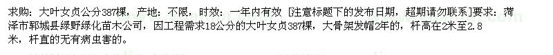 求購大葉女貞18公分 387棵棵
