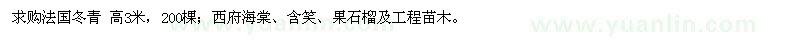 求購法國冬青、西府海棠、含笑、果石榴及工程苗木