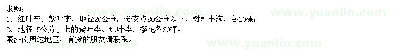 求購(gòu)紫葉李,紅葉李,櫻花