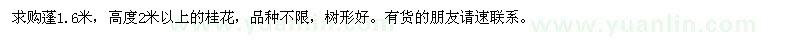 求購高度2米以上的桂花