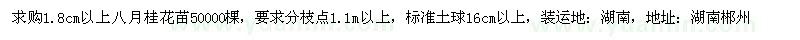 求購八月桂小苗