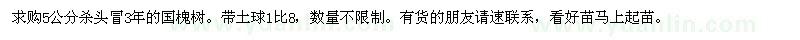 求購(gòu)5公分國(guó)槐