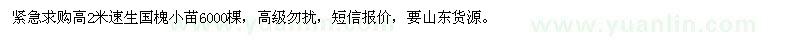 求購速生國槐小苗6000棵