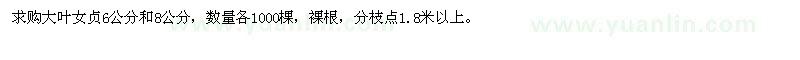求購大葉女貞6公分和8公分