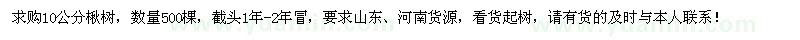 求購10公分楸樹500棵