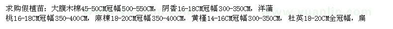 求購假植苗：大腹木棉45-50CM冠幅500-550CM等