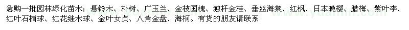 求購(gòu)懸鈴木、樸樹、廣玉蘭、金枝國(guó)槐、獨(dú)桿金桂、垂絲海棠、紅楓、日本晚櫻、臘梅等一批園林綠化苗木