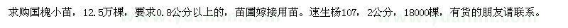 求購國槐小苗、速生楊107