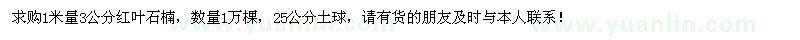 求購3公分紅葉石楠1萬棵